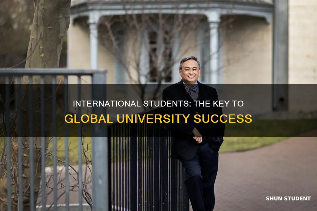 why are international students important to universities