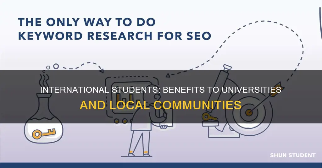 why are international students important to universities