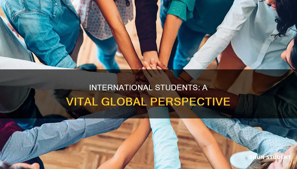 why are international students important