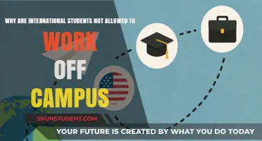 Understanding Work Restrictions for International Students