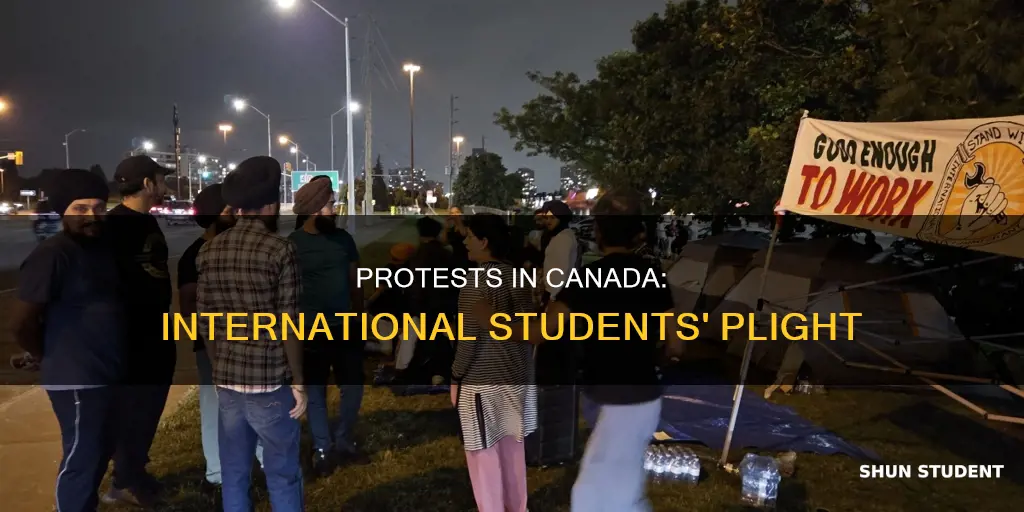 why are international students protesting in canada