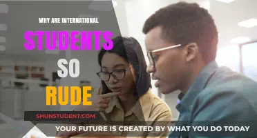 Rudeness or Cultural Differences: International Students' Behavior