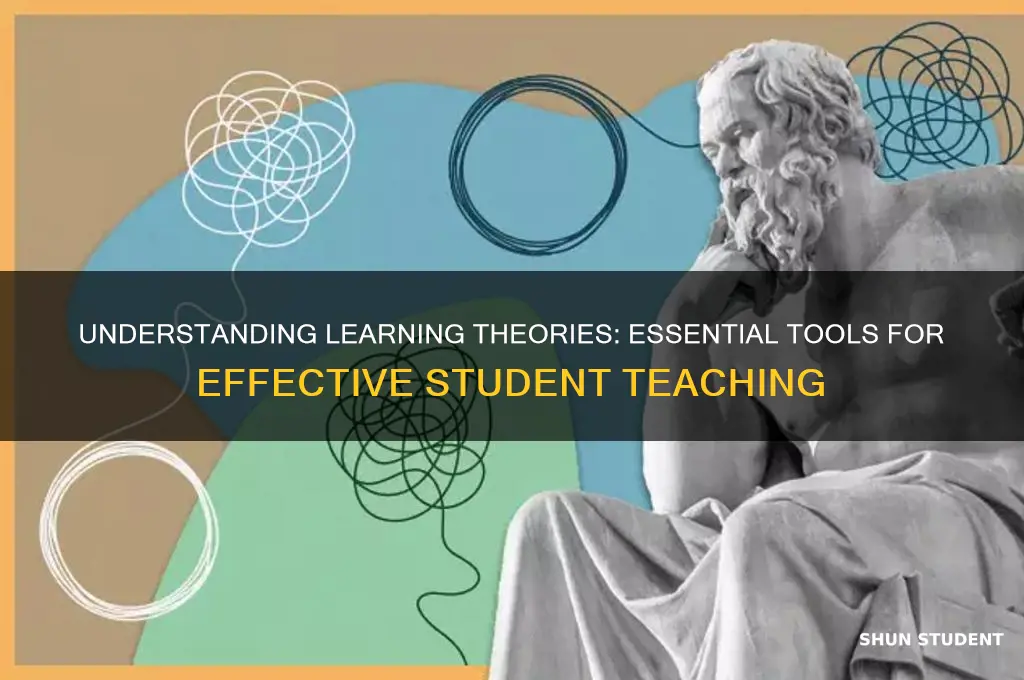 why are learning theories important to a student teacher