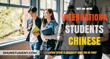 Chinese Students: Global Education's Future?