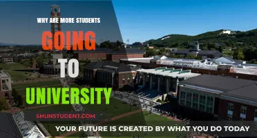 University Appeal: Why More Students Are Enrolling
