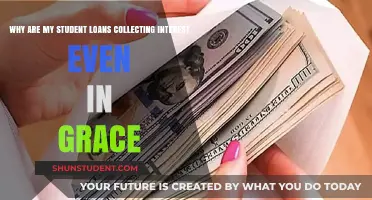 Understanding Student Loan Interest During Grace Periods: A Guide