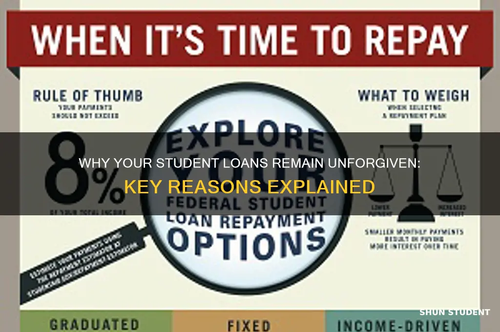 why are my student loans not forgiven