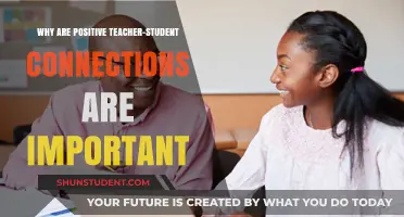 Building Positive Teacher-Student Connections: The Key to Learning Success