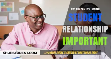 Building Bonds: The Impact of Positive Teacher-Student Relationships
