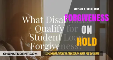 Student Loan Forgiveness on Hold: Understanding the Current Delays