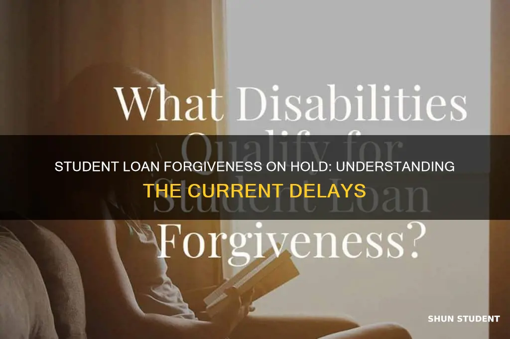 why are student loan forgiveness on hold