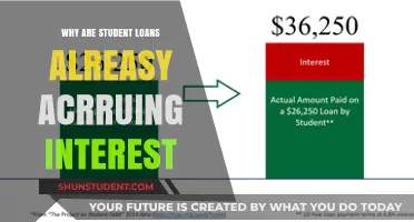 The Hidden Burden: Student Loans Accruing Interest Unseen
