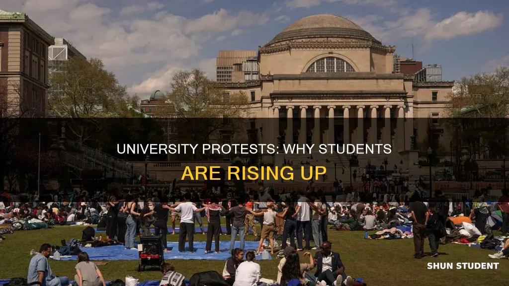 why are students at universities protesting