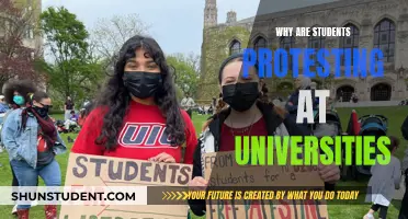 Students' University Protests: What's the Reason?