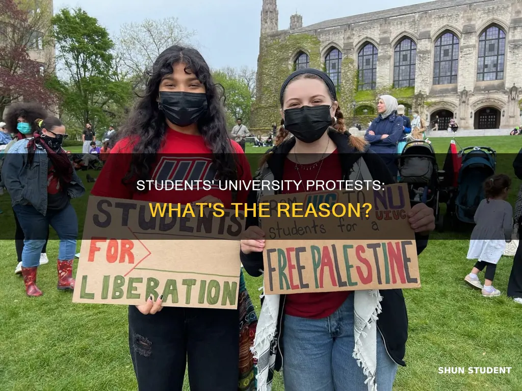 why are students protesting at universities