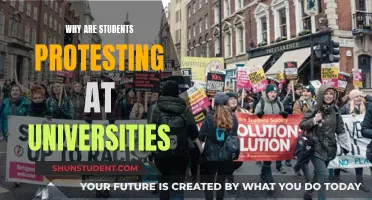 Students' Protests: What's Behind University Unrest?
