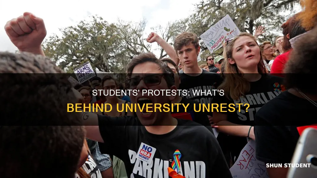 why are students protesting at universities
