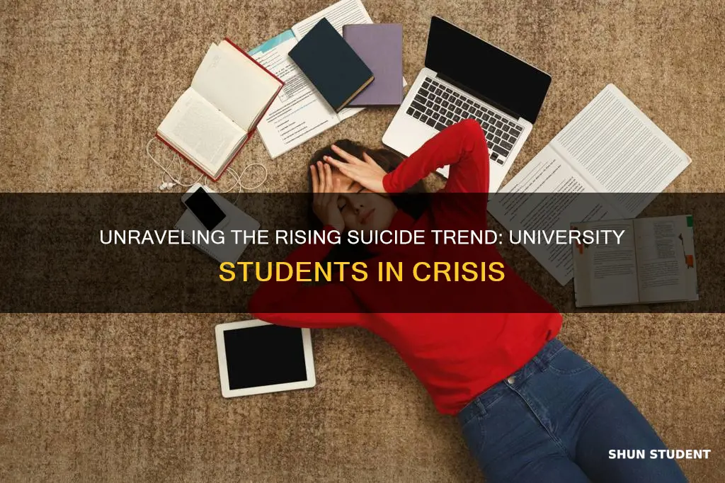 why are suicide rates rising among university students