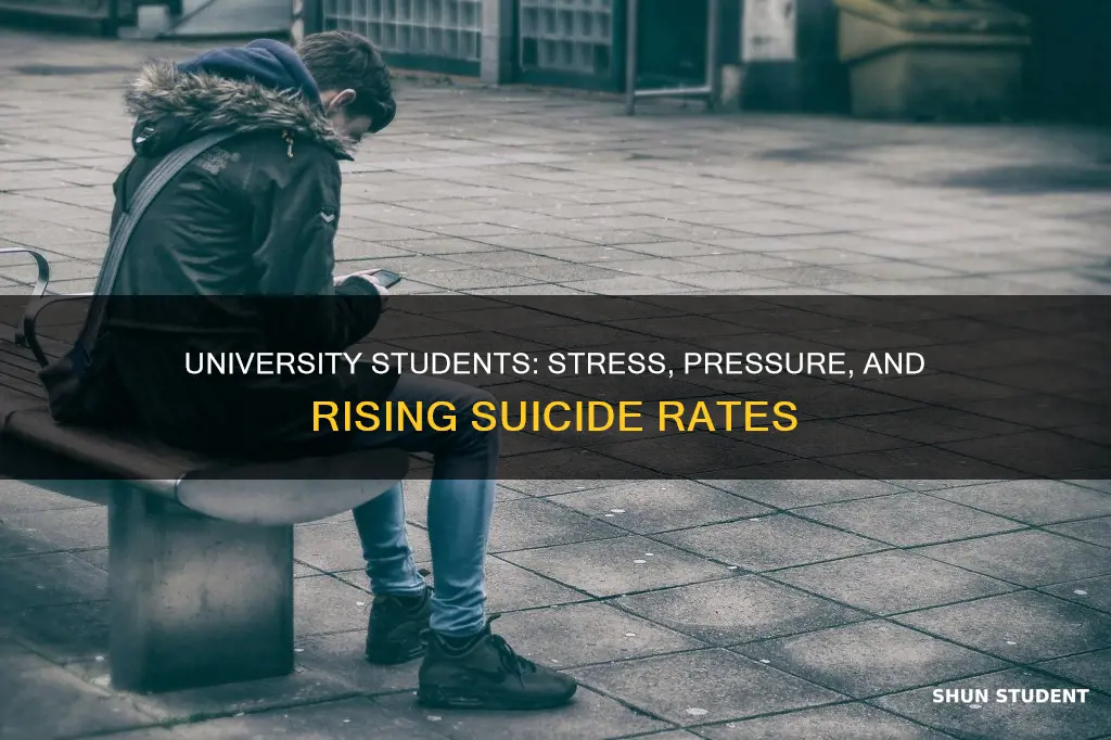why are suicide rates rising among university students