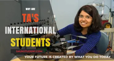International Students: Why TA's Are Often Hired