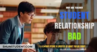 Teacher-Student Relationships: Why They Cross Boundaries and Harm Education