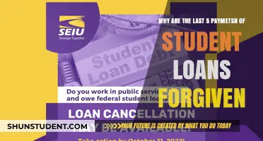 Understanding the Forgiveness of Final Five Student Loan Payments