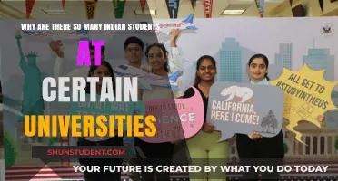Indian Students' University Choices: Why These Campuses?