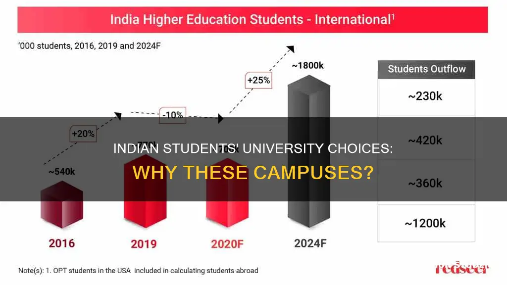 why are there so many indian students at certain universities