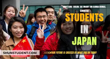 Exploring the Influx of Chinese Students in Japan