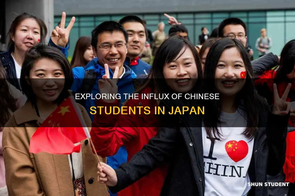 why are there so many international chinese students in japan