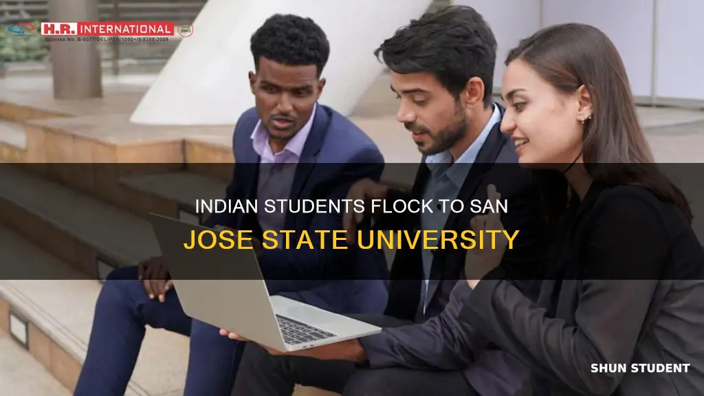 why are there so many international indian students at sjsu