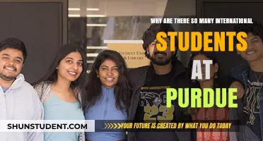 Purdue's International Student Attraction: Why So Many?