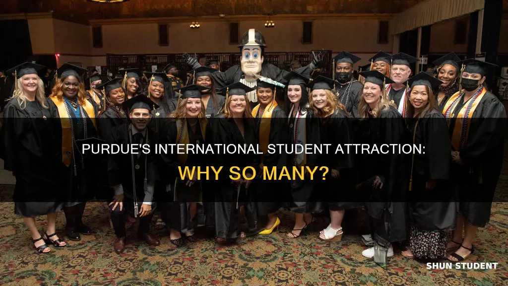 why are there so many international students at purdue