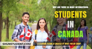 Canada's Appeal: International Students' Attraction