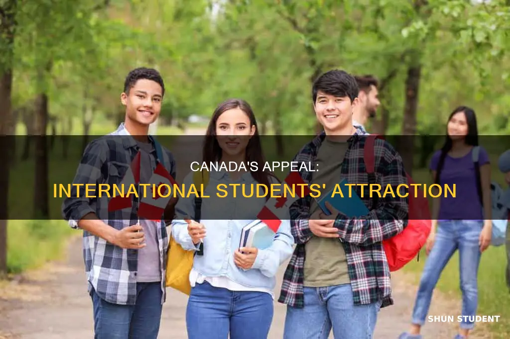 why are there so many international students in canada