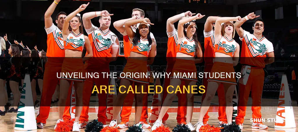 why are university of miami students called canes