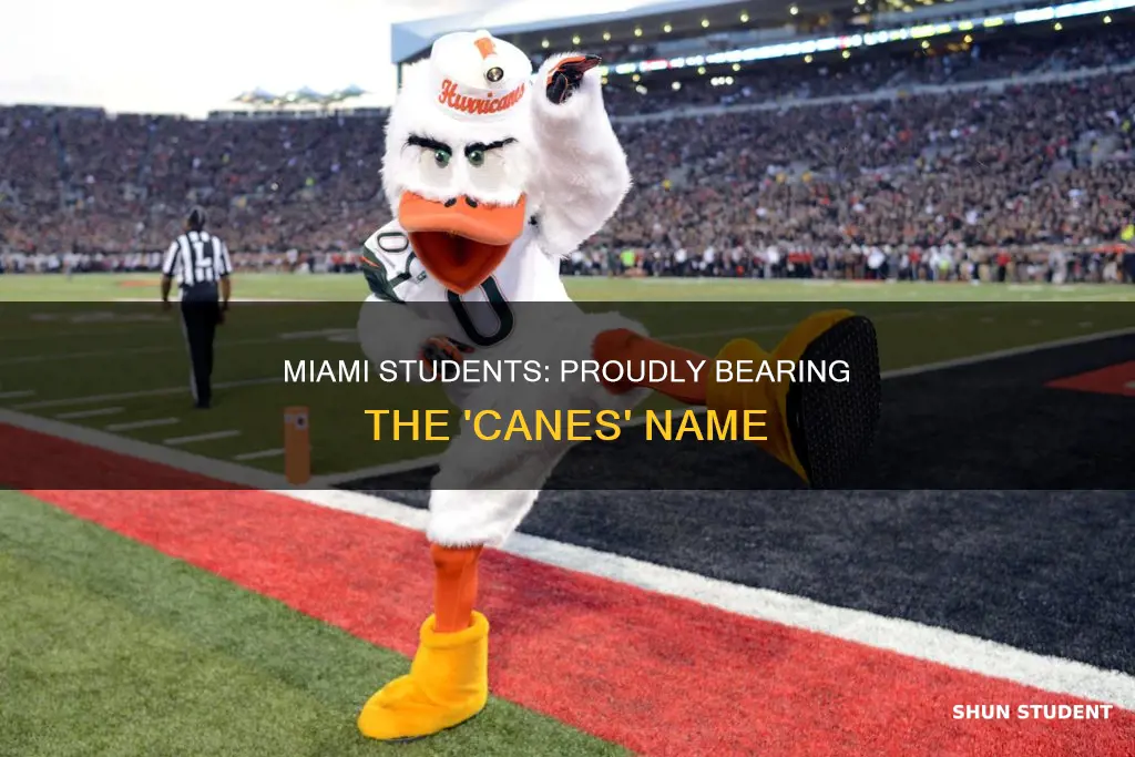why are university of miami students called canes