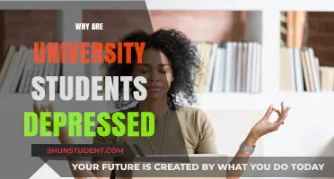 University Students and Their Mental Health Battle