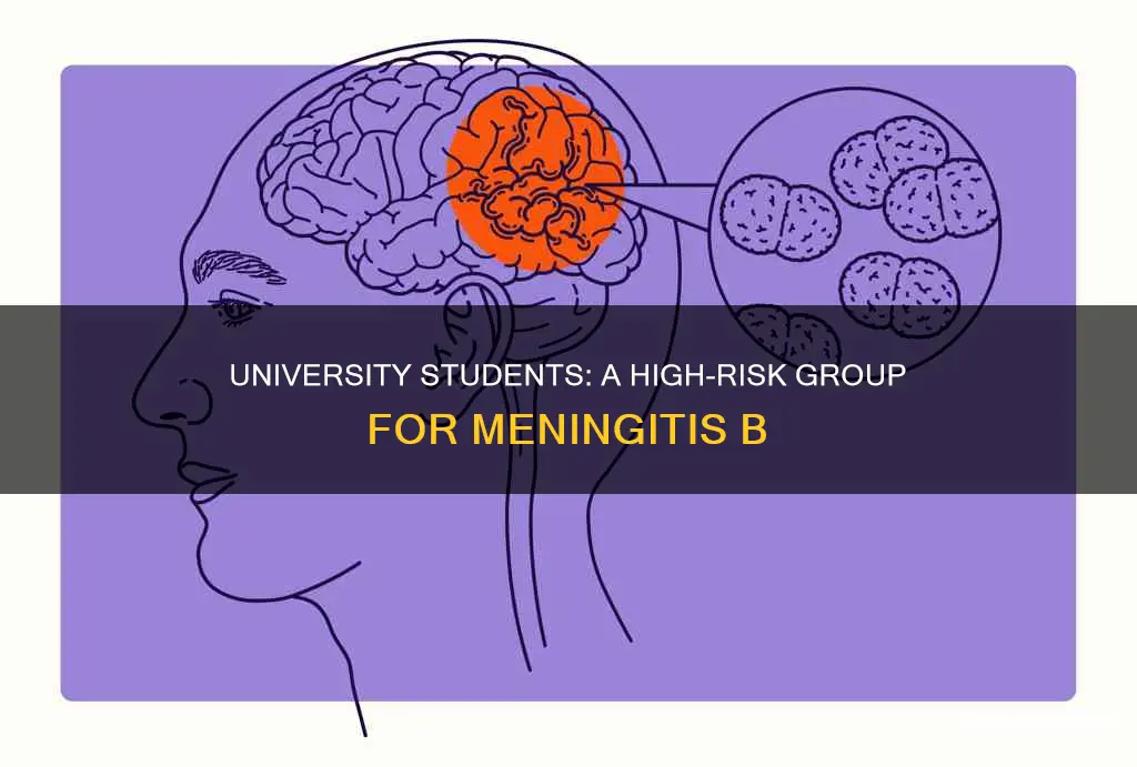 why are university students more at risk for menengitis b