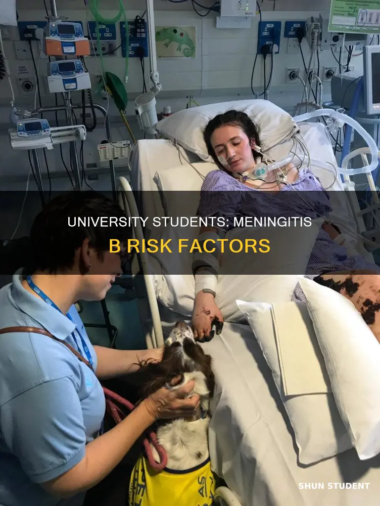 why are university students more at risk for menengitis b