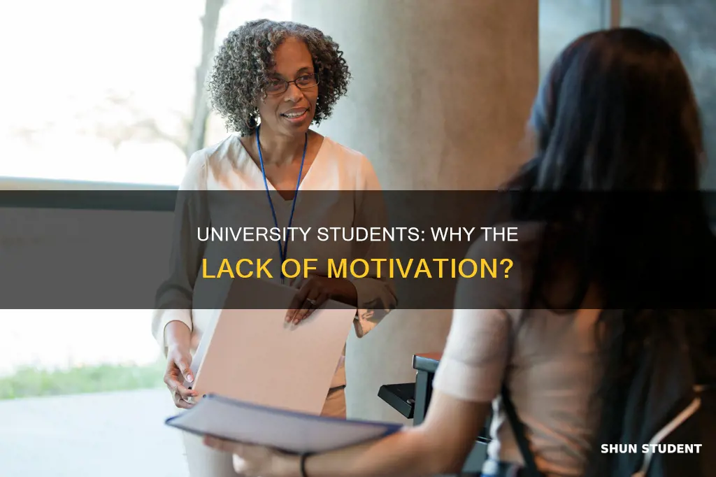 why are university students so lazy