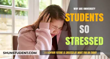 University Stress: Why Are Students So Stressed?