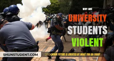 Unraveling the Mystery: University Students and the Violence Enigma