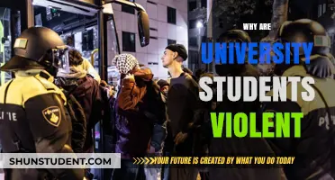 University Students: Violence and its Root Causes