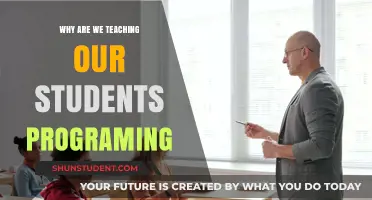 Empowering Future Innovators: The Importance of Teaching Programming in Schools