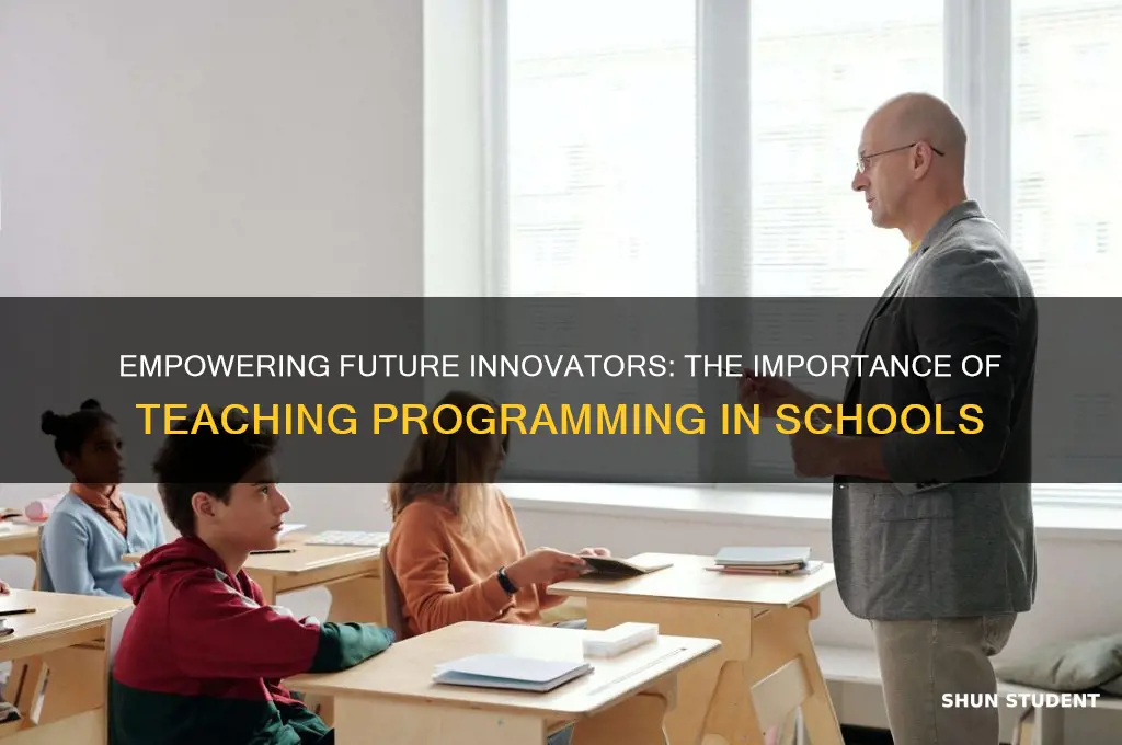 why are we teaching our students programing