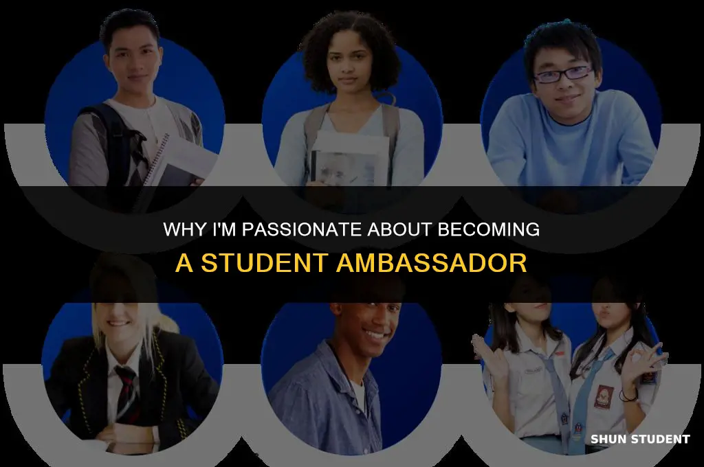 why are you interested in becoming student ambassardor