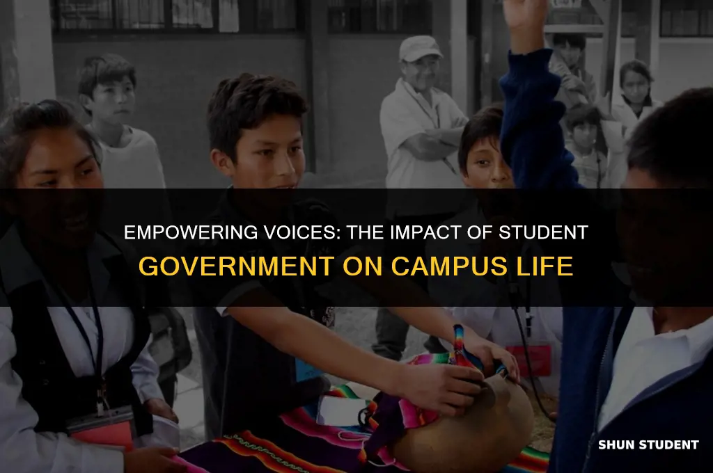 why are you interested in student government