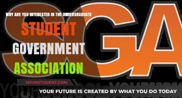 Exploring the Benefits and Impact of Undergraduate Student Government Association