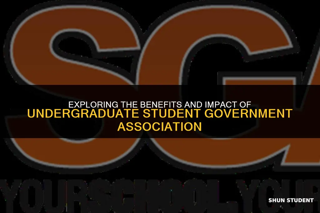 why are you interested in the undergraduate student government association